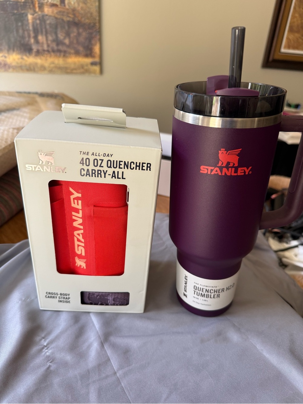 Stanley Plum 40 oz Quencher plus Carry-All